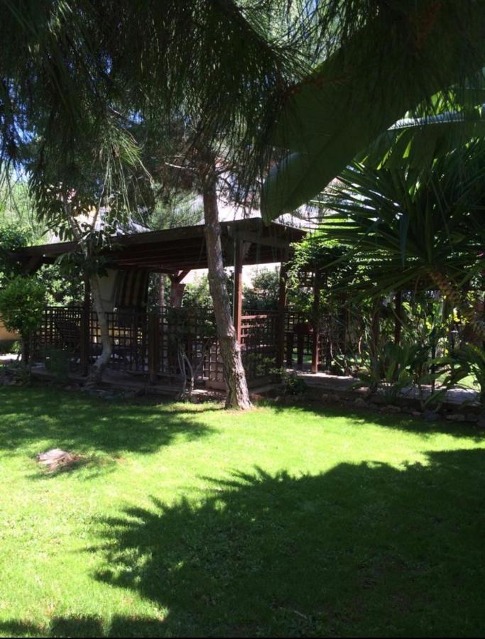 Villa Natalia Ayia Napa Exterior foto