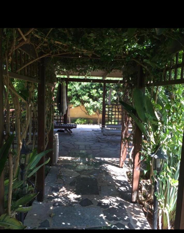 Villa Natalia Ayia Napa Exterior foto